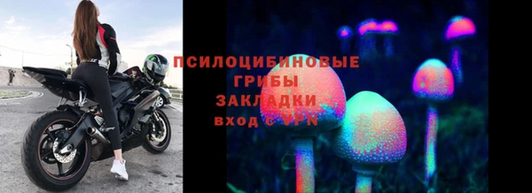 а пвп мука Белокуриха