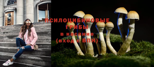гидра Беломорск