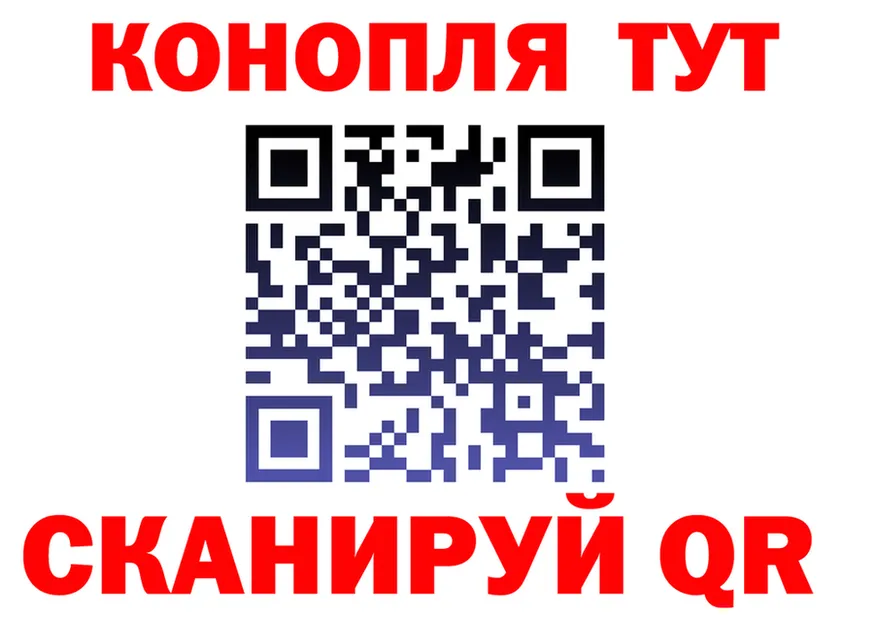 ГАШ Изолятор вход дарк нет блэк спрут Волосово