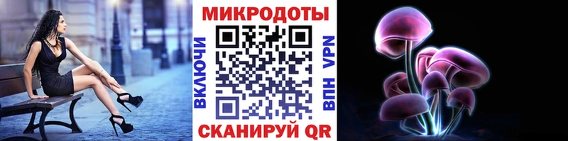 Галлюциногенные грибы Psilocybine cubensis  купить  цена  Волосово 
